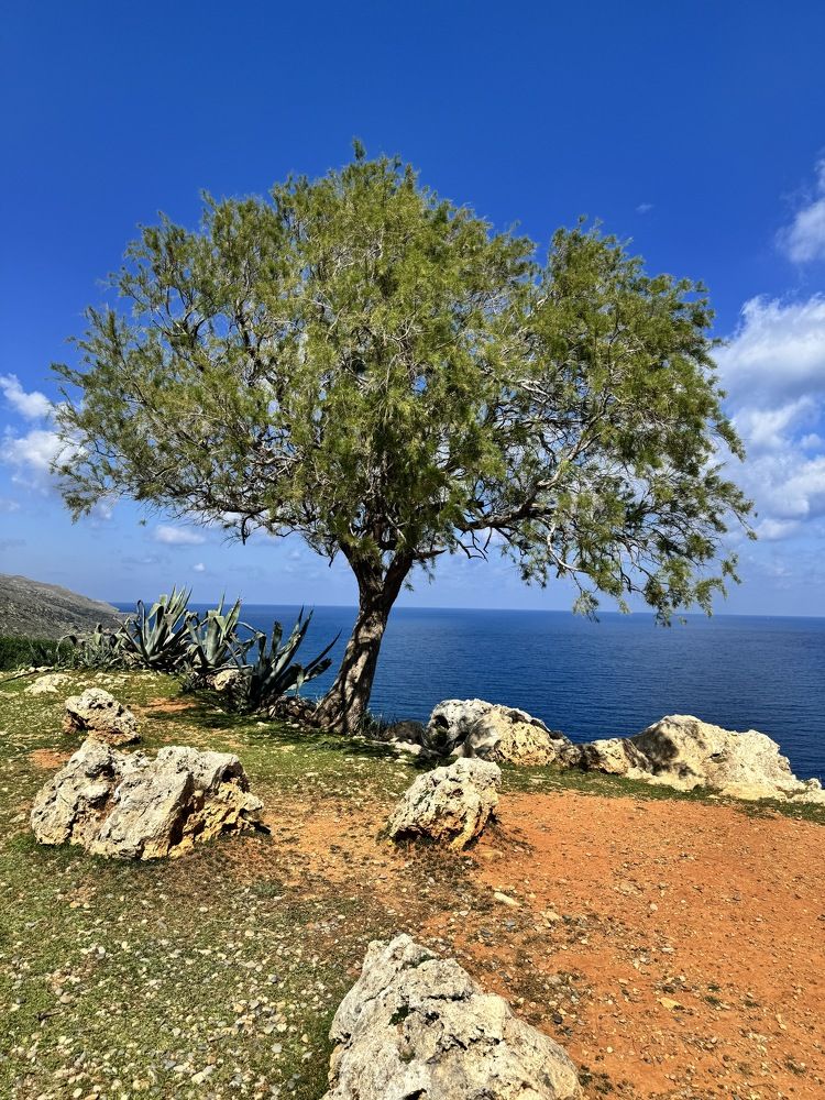 Photograph by Елена