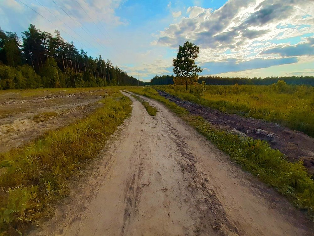 Photograph by Екатерина