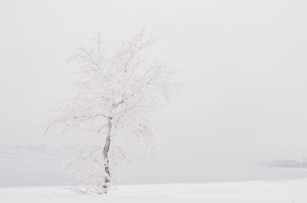 Photograph by Зуев Дмитрий