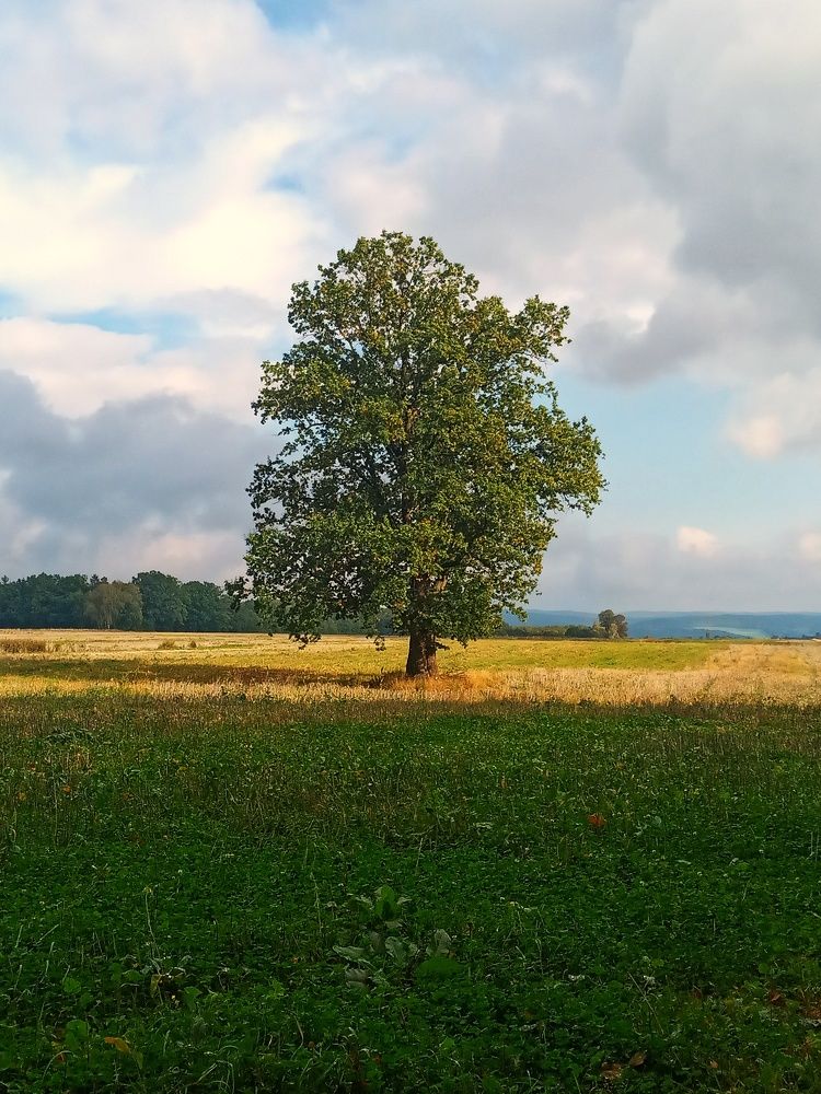 Photograph by Анастасия
