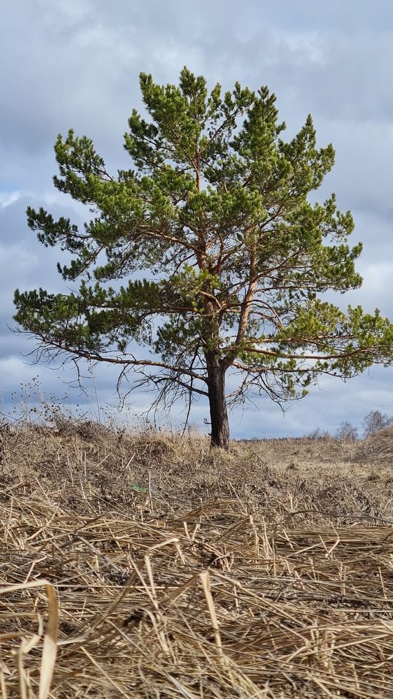 Photograph by Евгения Гриднева