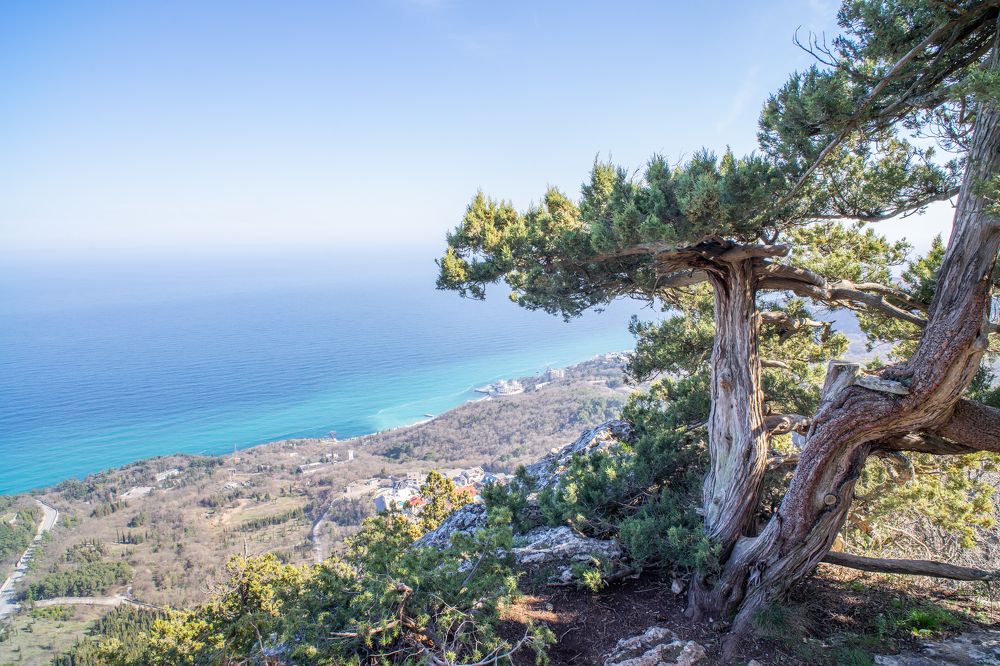 Photograph by Дмитрий Влизько