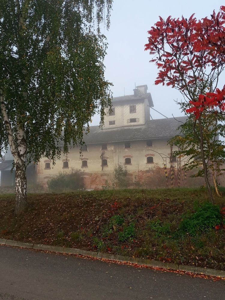 Photograph by Анастасия