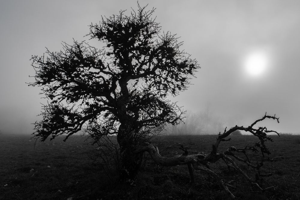 Photograph by Дмитрий Влизько