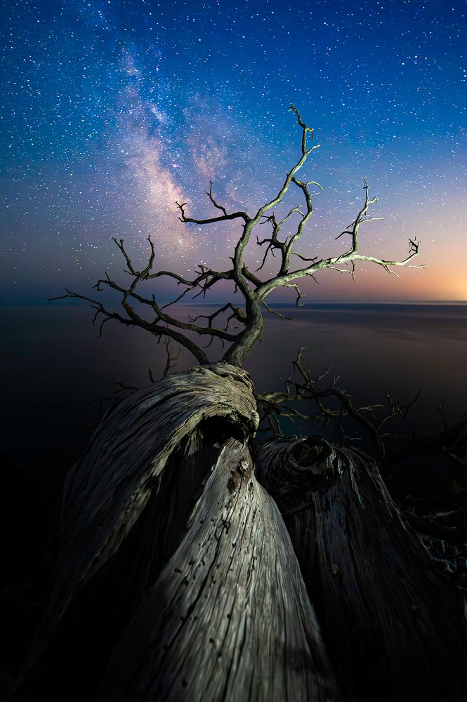 Photograph by Васильева Дарья