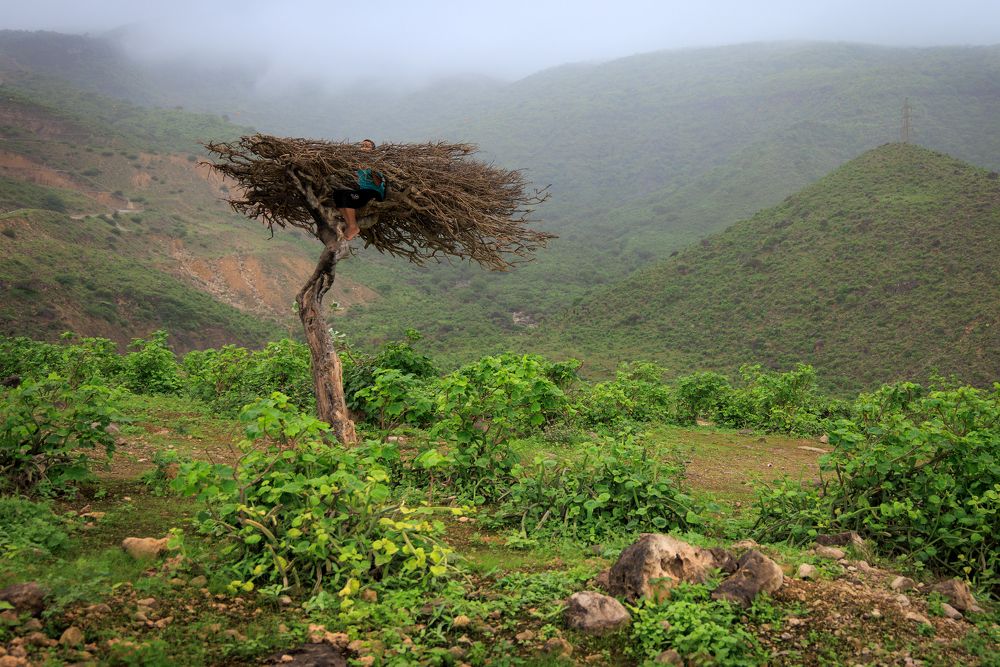 Photograph by Kulikov Vladimir