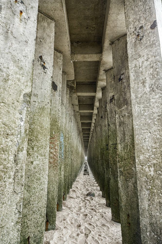 Фотография автора Виталий Новиков