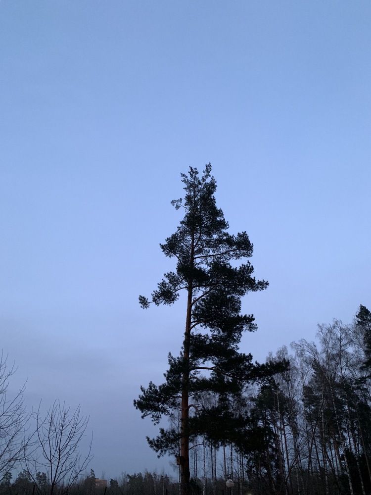 Фотография автора Olga Golubkova