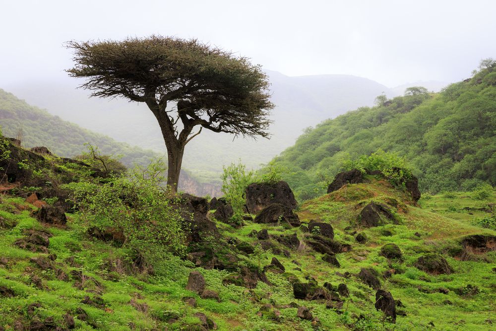 Photograph by Kulikov Vladimir