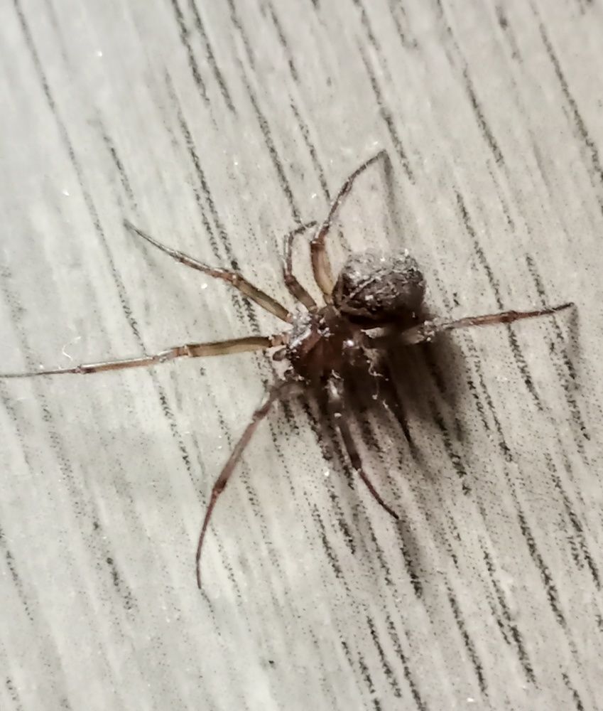 Photograph by Sergey Kurkov-Tarkovsky