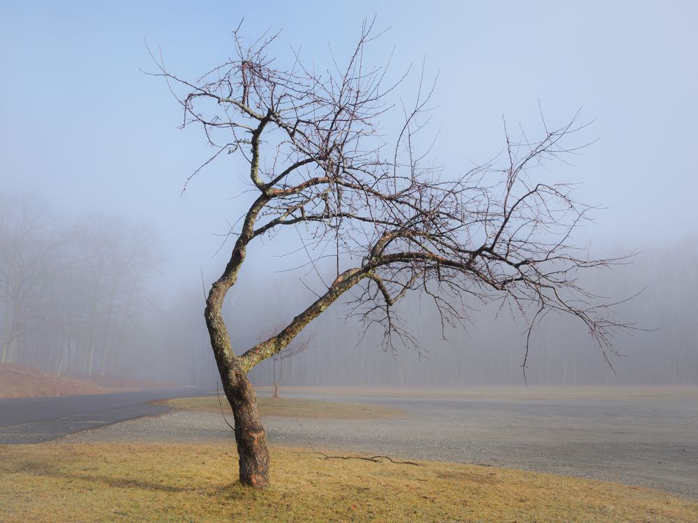 Photograph by Kulikov Vladimir