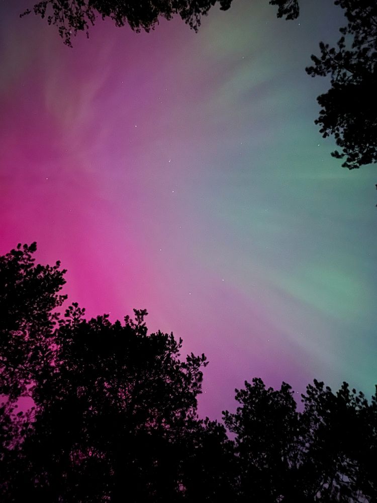 Photograph by Jelena Smala