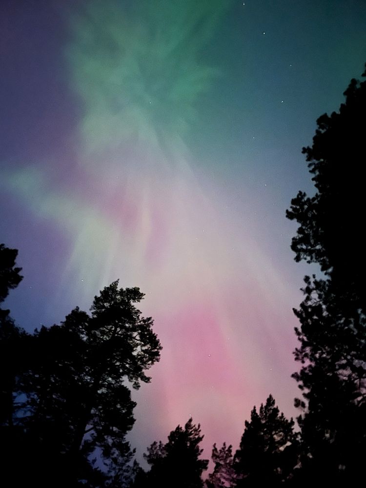 Photograph by Jelena Smala