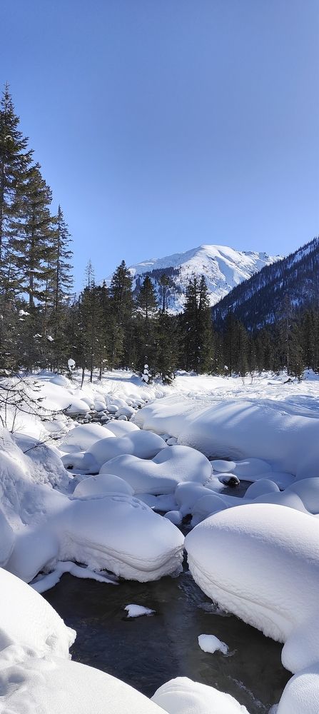 Photograph by Виктория Атаманова