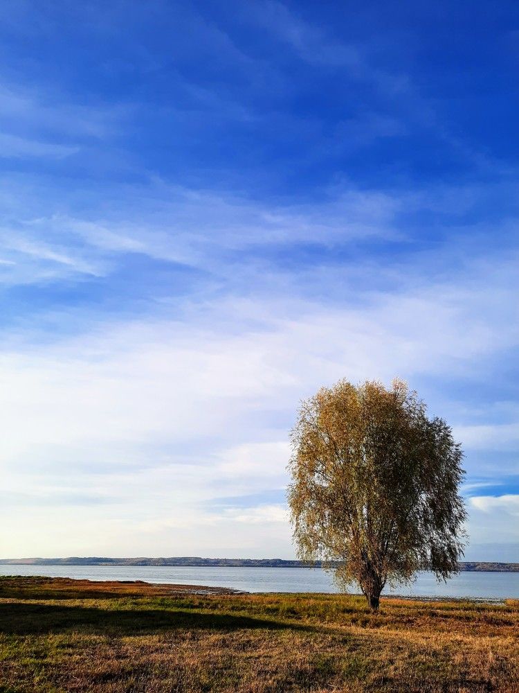 Photograph by Сергей Назаредский