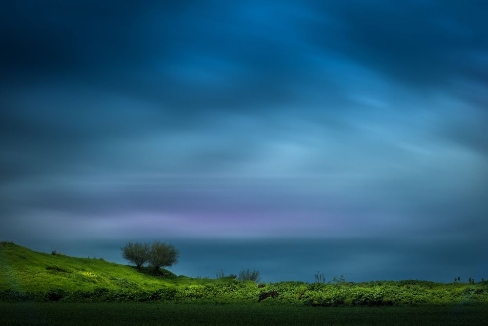 Photograph by Sharon Tribelsky