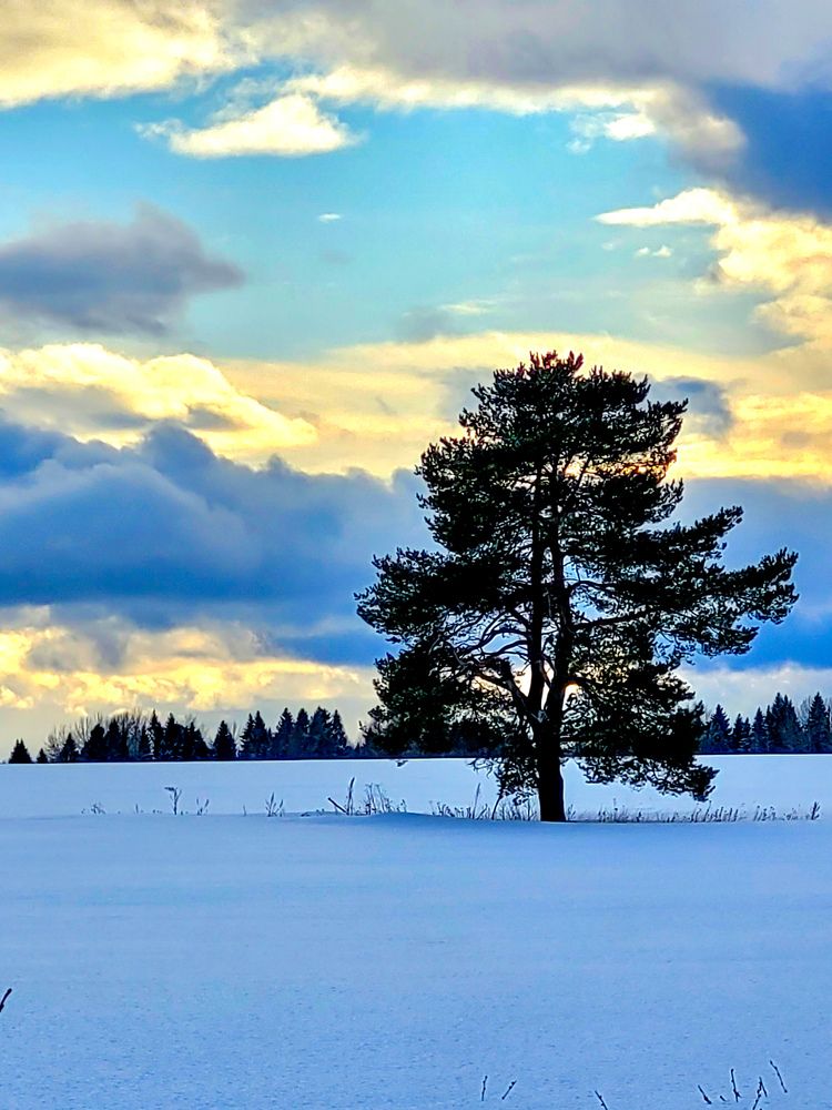 Photograph by Сергей Назаредский