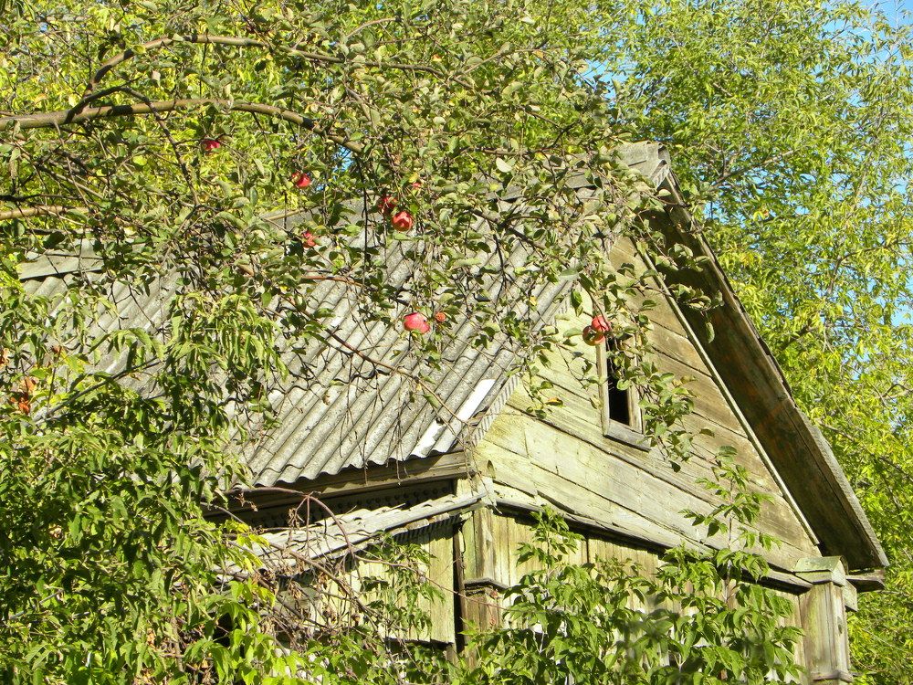 Photograph by Александр Малютин