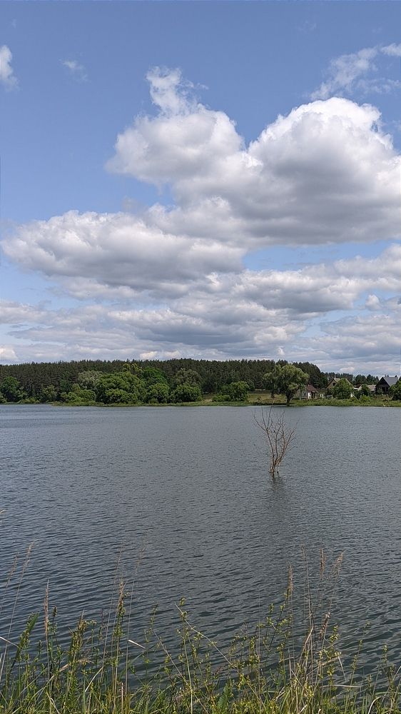 Фотография автора Васильева Ирина