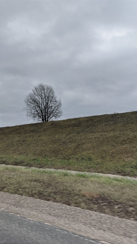Фотография автора Васильева Ирина