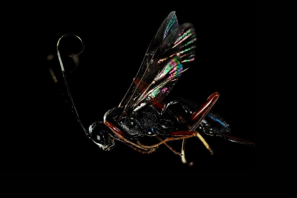 Photograph by Serdar AVCI