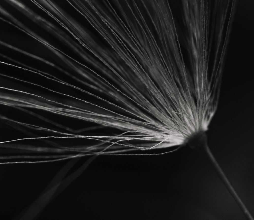 Photograph by Филипп Антонюк