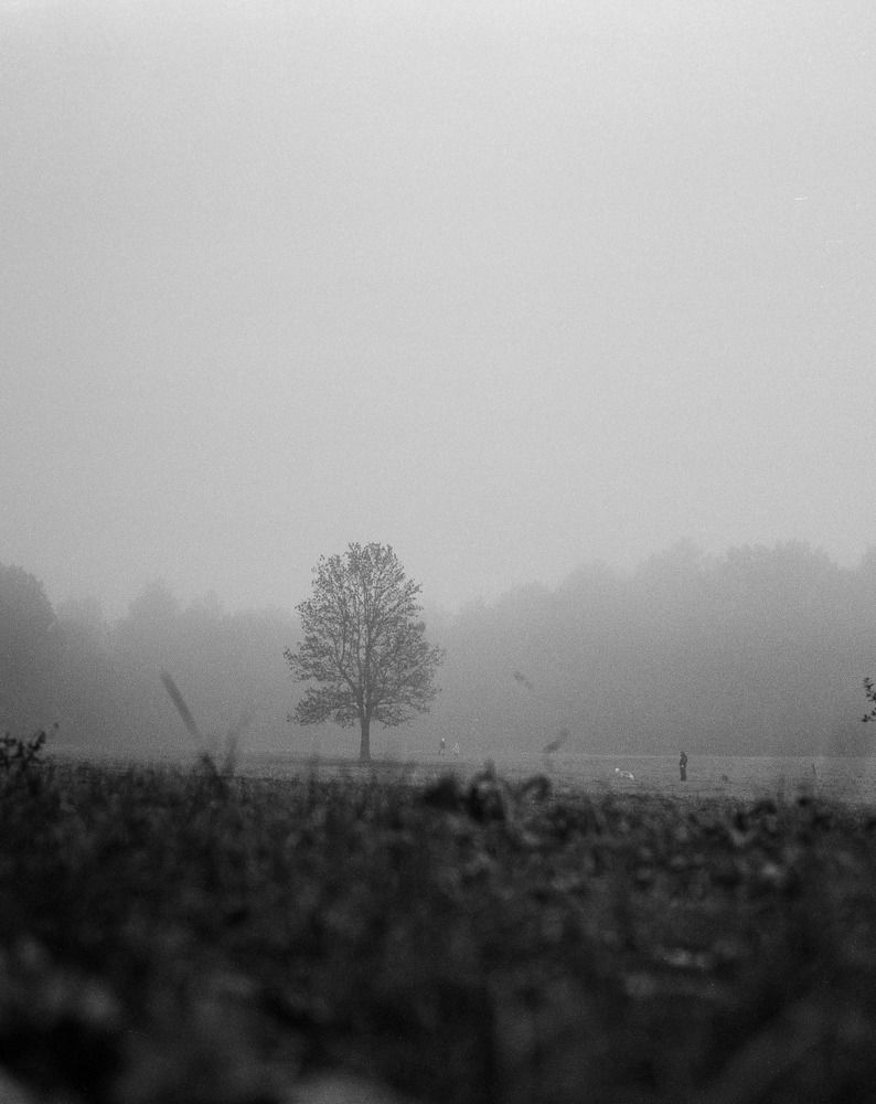 Photograph by Сергей Филиппов