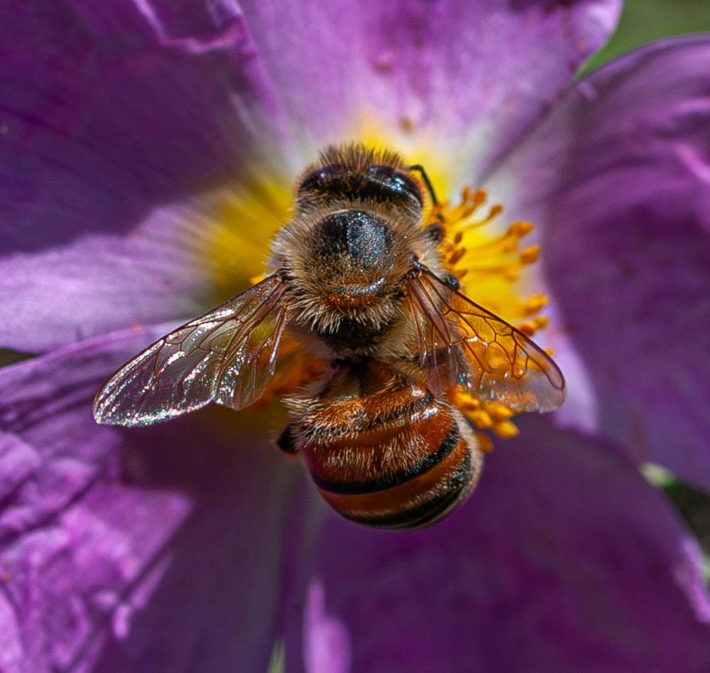 Фотография автора DIMITRIS MPAZIOTOPOULOS