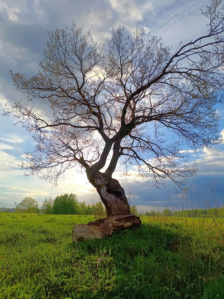 Photograph by Дмитрий Спорышев