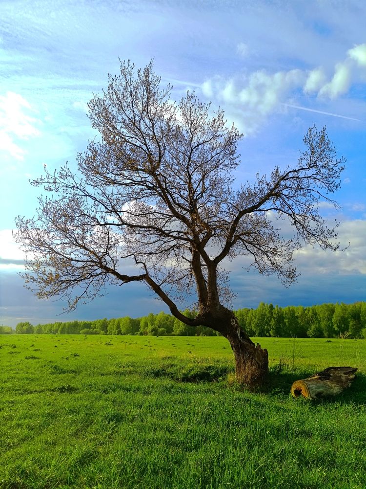 Photograph by Дмитрий Спорышев