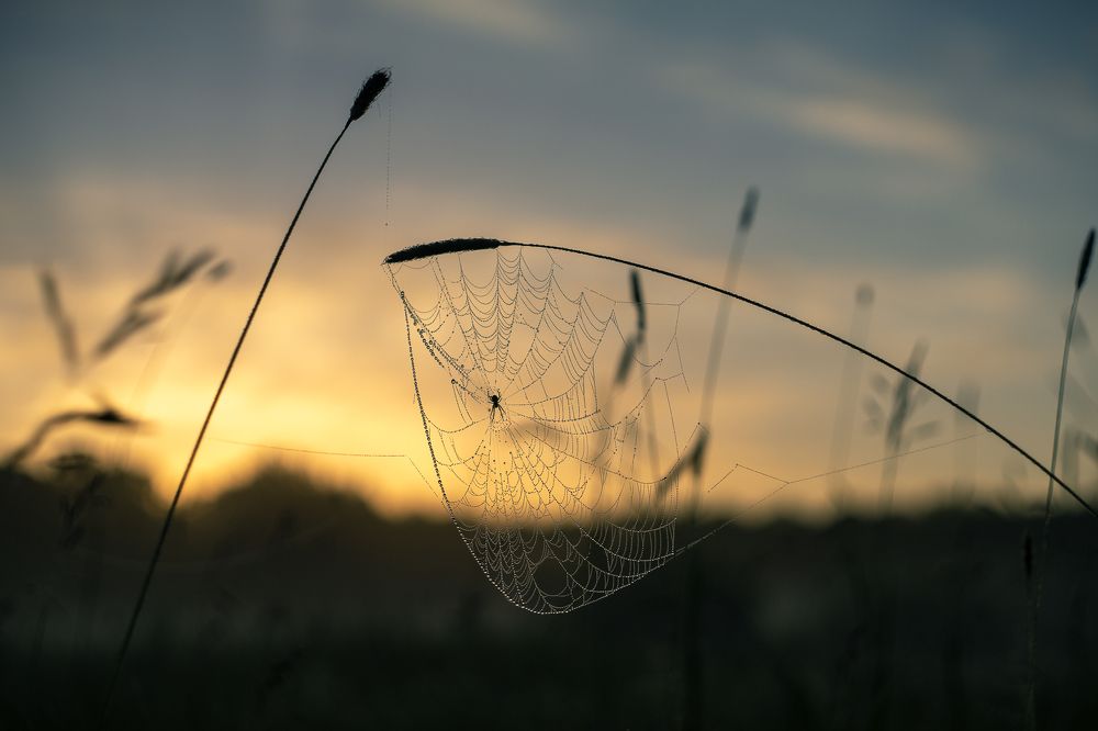 Photograph by Юрий Москалев