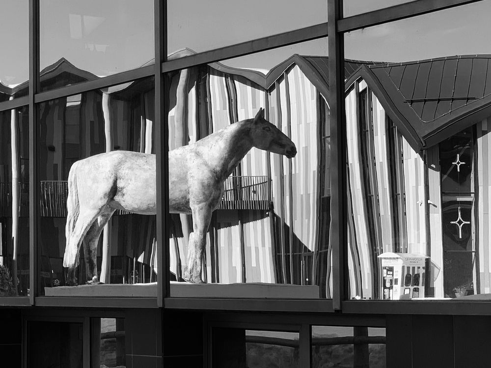 Photograph by Ионова Татьяна