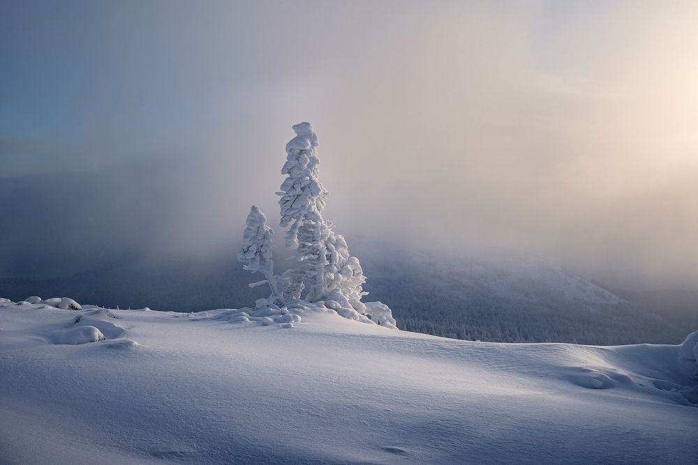 Photograph by Соколова Елена