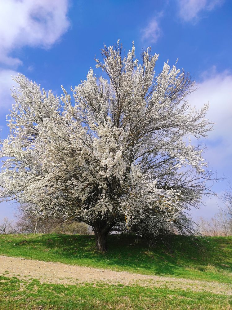 Photograph by Ирина Адлер