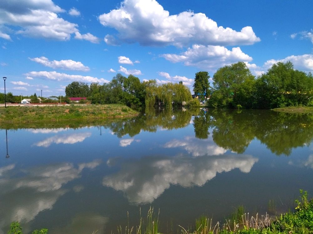 Photograph by Людмила Прибылова