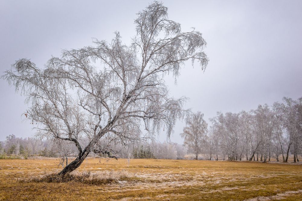 Photograph by Дмитрий