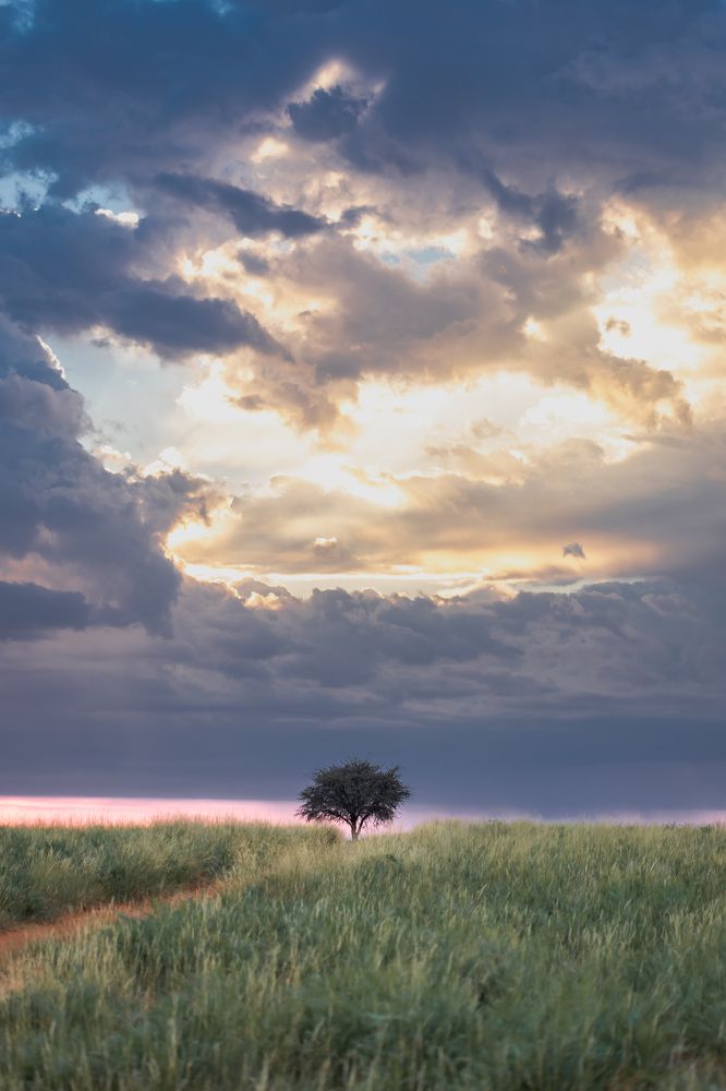 Photograph by Василий Бережной