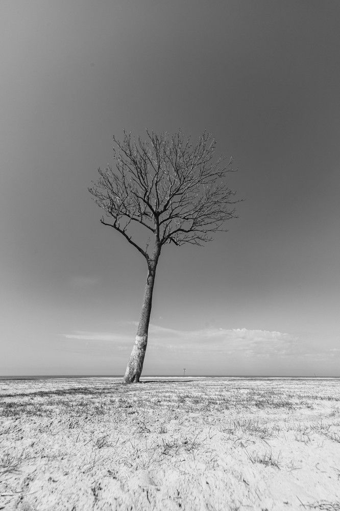 Фотография автора Виталий Новиков