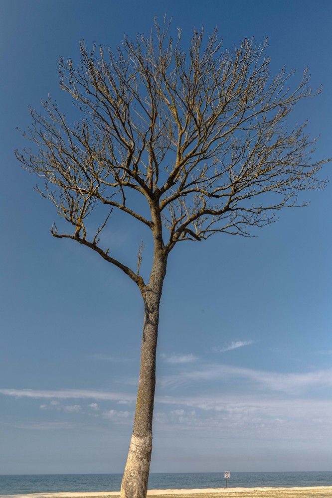 Фотография автора Виталий Новиков