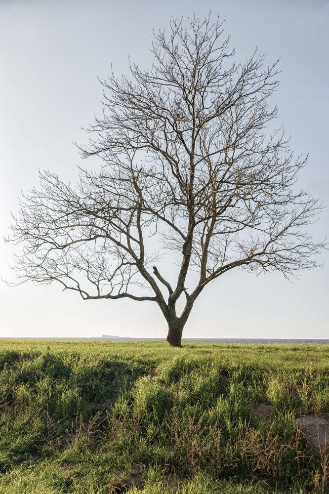 Фотография автора Виталий Новиков