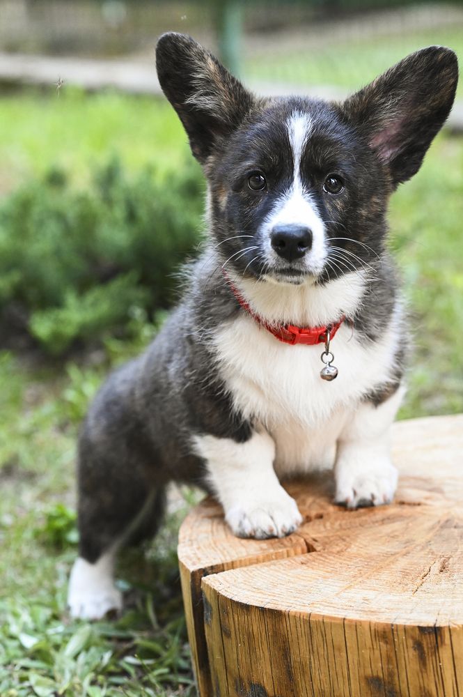 Фотография автора Людмила Капустина