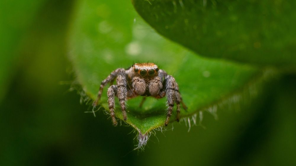 Photograph by Алексей Жариков