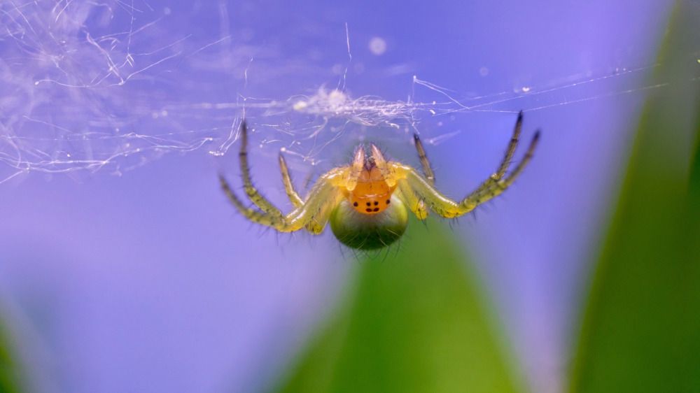 Photograph by Алексей Жариков