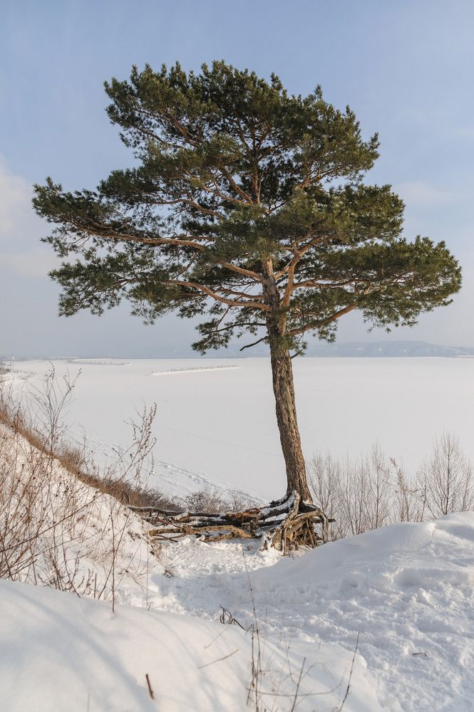 Фотография автора Мигунов Даниил