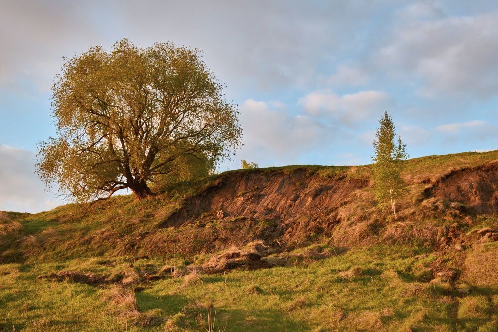 Photograph by Сергей Ветошкин