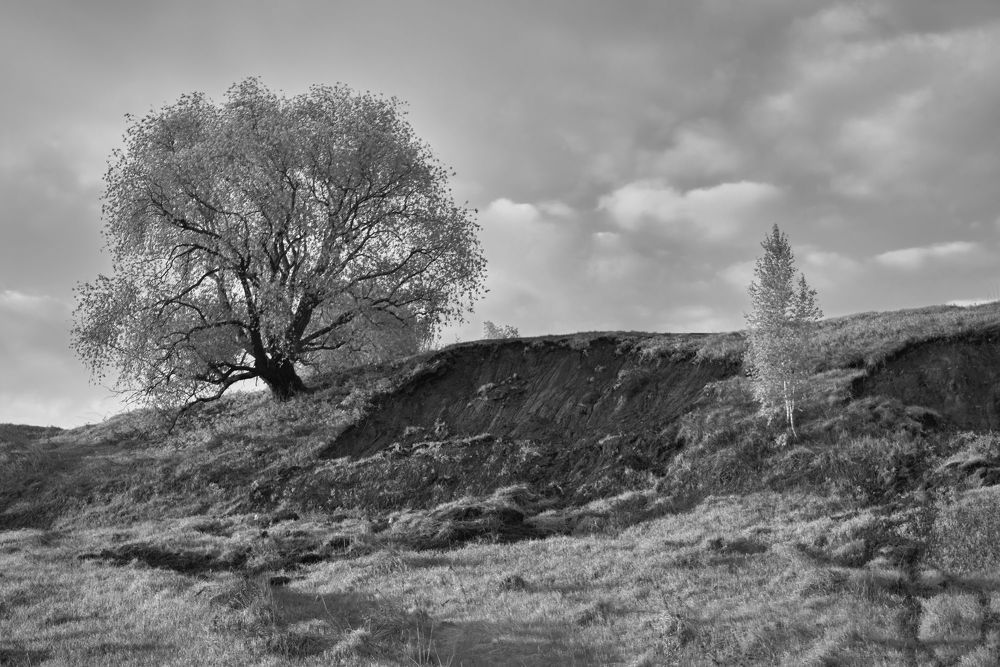 Photograph by Сергей Ветошкин