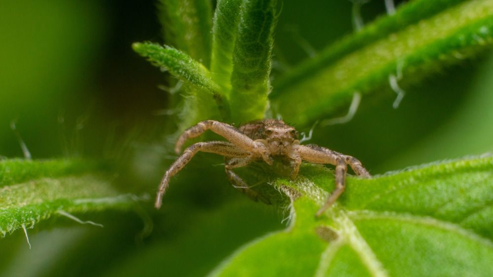 Photograph by Алексей Жариков