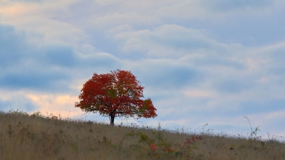 Photograph by Milan Cernak