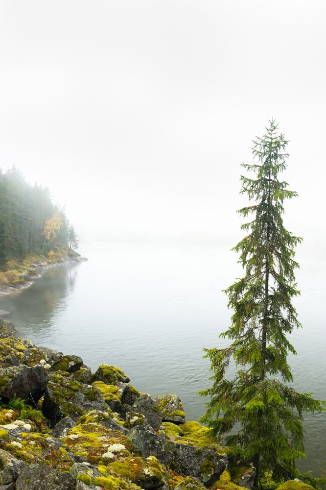 Photograph by Elena Noeva