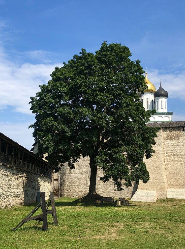 Photograph by Kirill E.